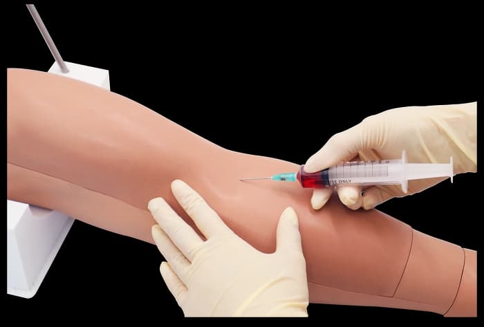 venipuncture model